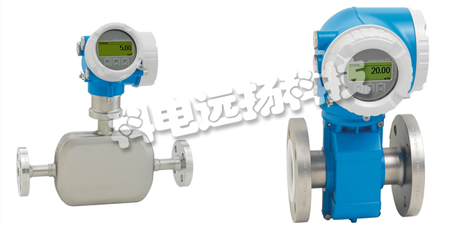 E+H流量計_德國E+H流量計說明書