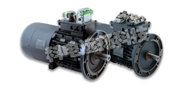 NERI MOTORI電機(jī),意大利NERI MOTORI,意大利電機(jī),NERI MOTORI型號(hào),NERI MOTORI電機(jī)型號(hào)