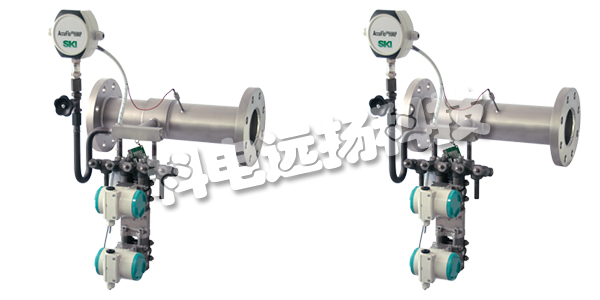 SKI流量計(jì),SKI質(zhì)量流量計(jì),德國SKI,德國質(zhì)量流量計(jì)