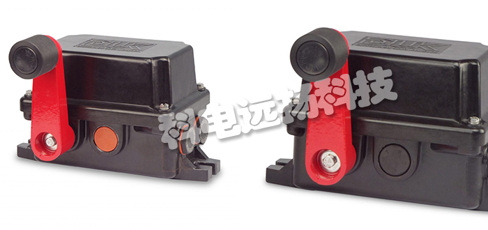 德國(guó)DITTELBACH&KERZLER限位開(kāi)關(guān)LMVS