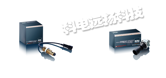 德國BERU溫度傳感器與速度傳感器產(chǎn)品的區(qū)別