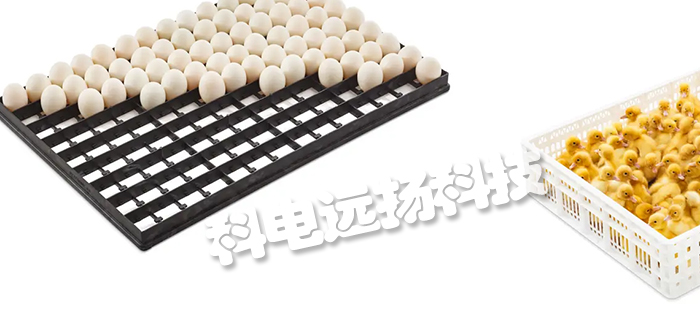 比利時PETERSIME孵化器/手推車/入孵機托盤